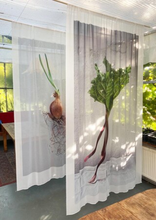 Arjanne Boekhout & Ruud Willems